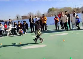 2024年中小学生轮滑系列赛精视频